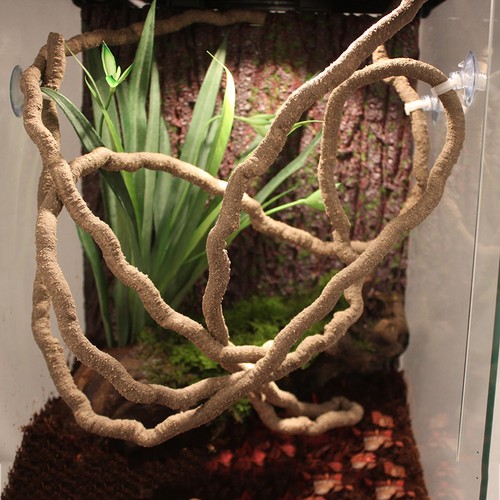 Flexible terrarium reptile - terrarium,