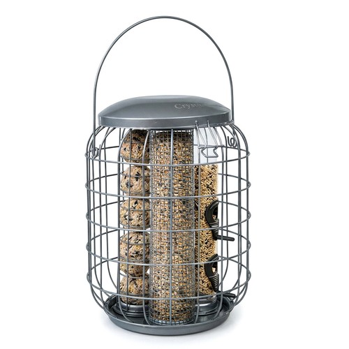 Hanging wild garden bird - hanging,