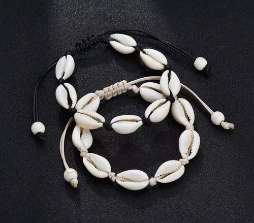 Cowrie sea shell - cowrie,