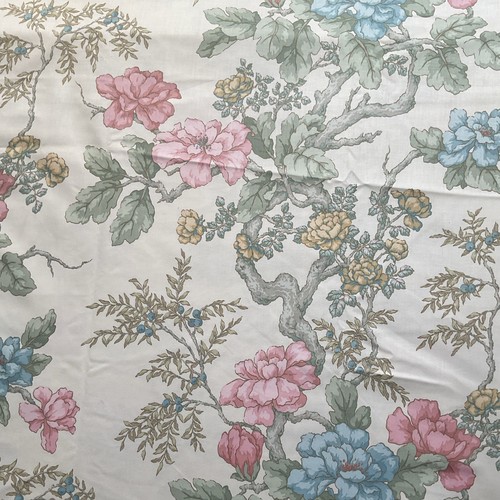 Sanderson peony tree - sanderson, tree”