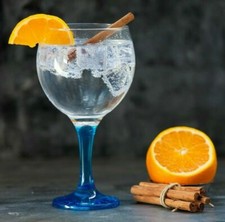  Gin and tonic  cocktail
