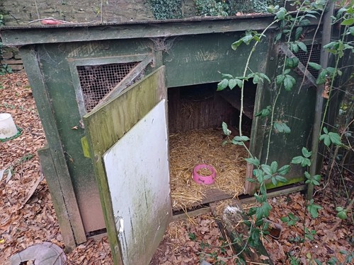 Chicken coop hen house - coop,
