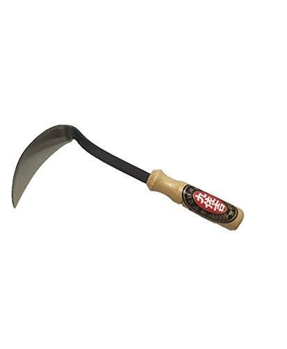 Bluearrowexpress kana hoe - hoe, 217