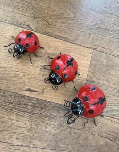 Set three ladybirds indoor - of,