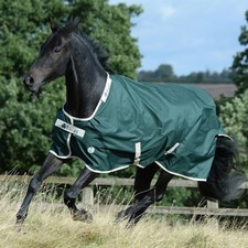 Bucas Green-Line 100g Standard