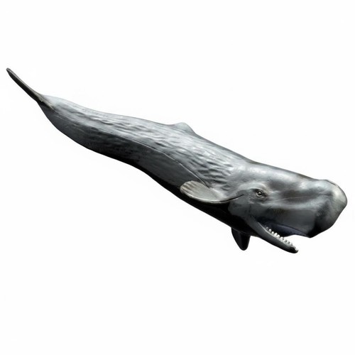 Realistic killer whale - realistic, marine