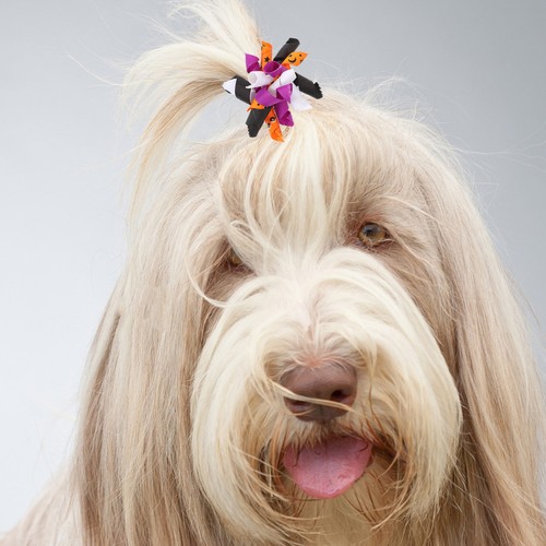 Lightweight durable dog hair - durable,