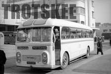 35mm Negative PMT Potteries