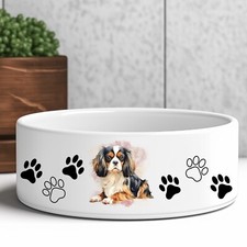 Ceramic Dog Food - Water Bowl