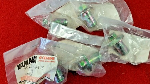 Yamaha cylinder head nuts - head,