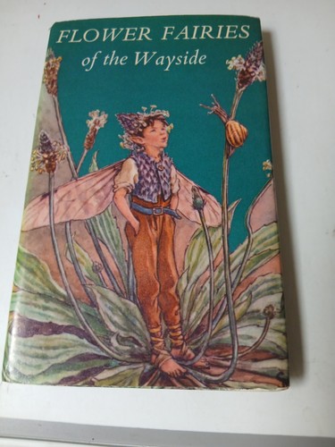 Flower fairies the wayside - fairies,