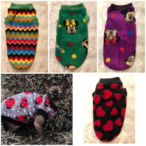 Clothes for sphynx - , kitten