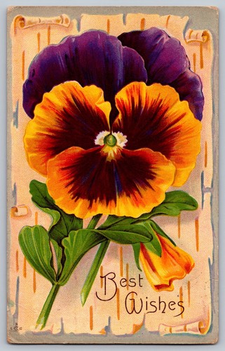 B577 best wishes purple - best,