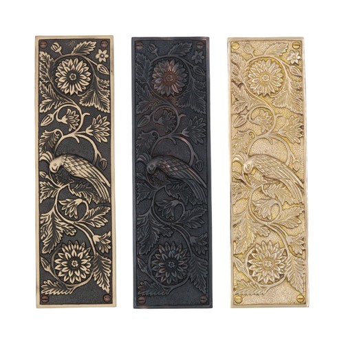 Parrot motif push - motif,