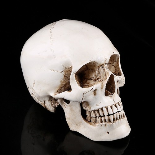 1pc resin human - `1pc,