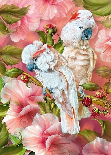 Cherry pazzi tropic spirits - pazzi,