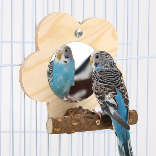 Birdcage stand perch - stand,
