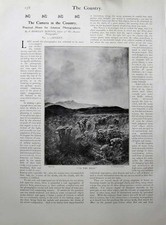 Original Old Antique Print