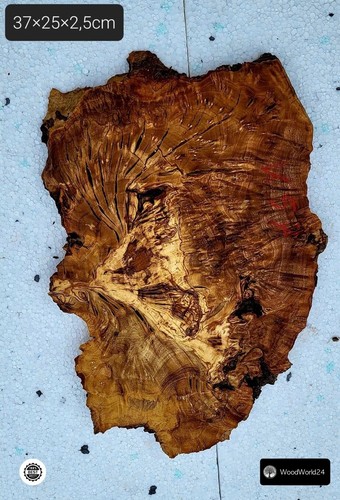 Olive root wood - root, tree