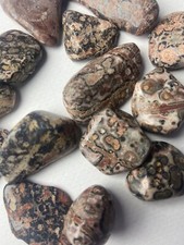 Leopard Skin Jasper Spotty