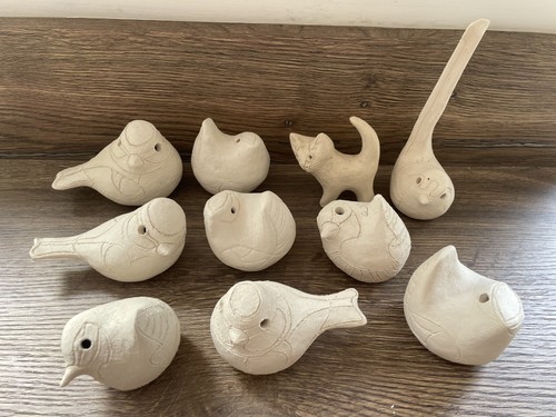 10x rosemary wren oxshott - wren,