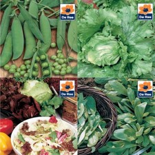 Vegetable Seeds UK Carrot Pea