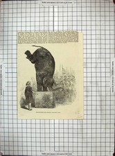 Original Old Antique Print