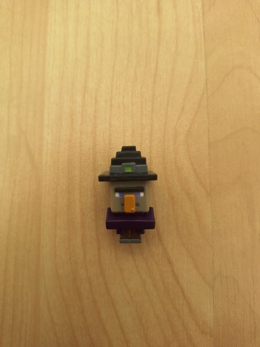 Minecraft witch series - series, 1