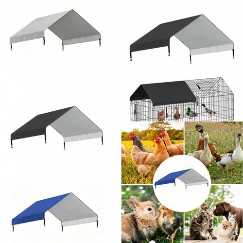 Chicken run tarp - chicken,