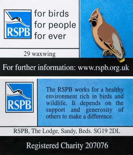 Rspb pin badge - rspb, 29