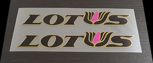 Lotus downtube decals - downtube,