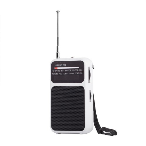 Class radio portable - fm,