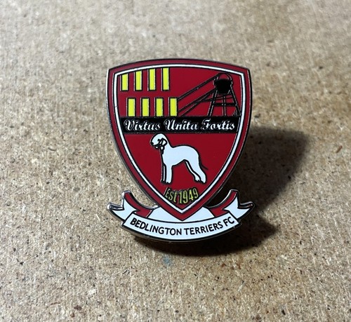 Bridlington terriers rare - bridlington,