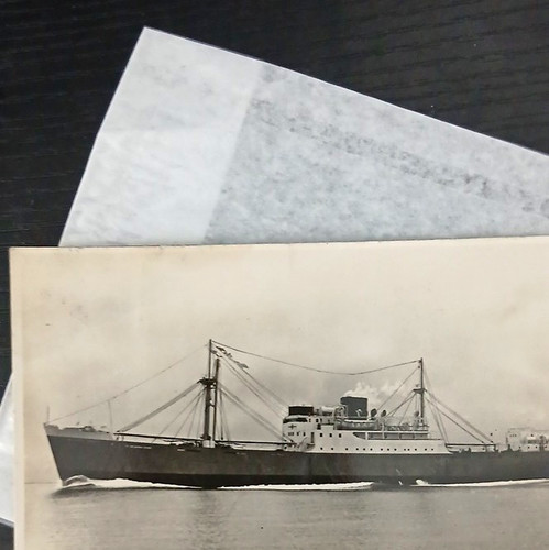 Maltese prince 1956 - prince,