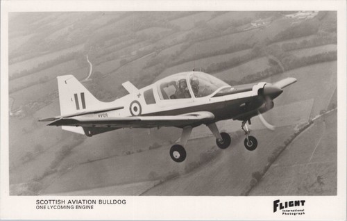 Scottish aviation bull - bull, dog