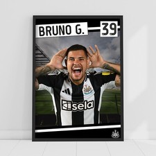 Newcastle United FC Print -
