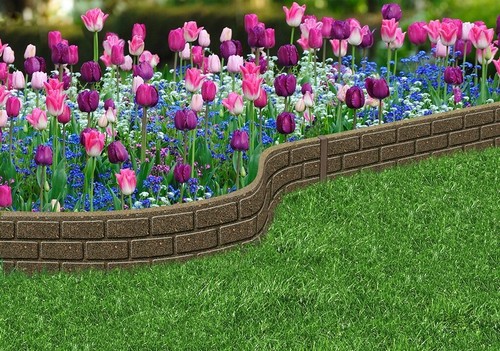 Primeur ultra curve border - curve,