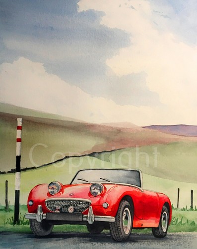 Austin healey frog eye sprite - healey,