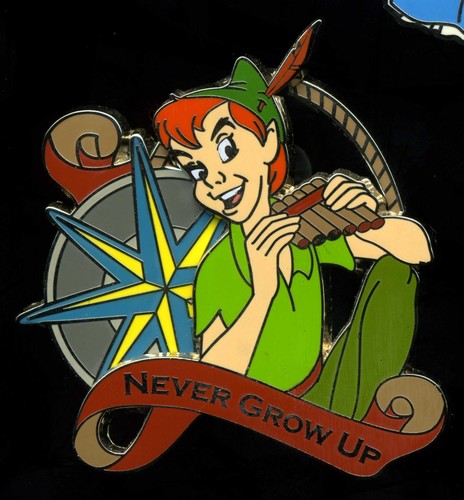 Disney pin peter pan - disney, w/