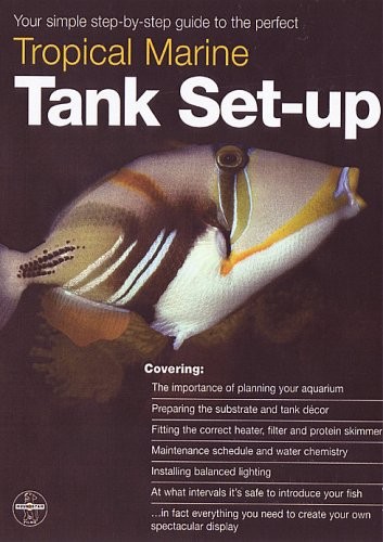 Tropical marine tank set - tropical, set-up