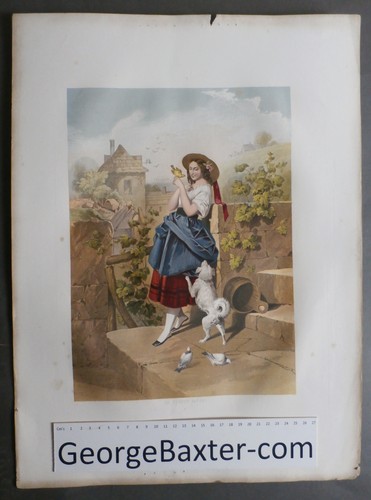 Large sheet kronheim - -,