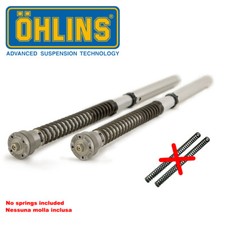 Bmw S 1000 Rr 2008 2017 Ohlins