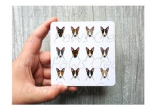 Rat Terrier Coaster, Novelty