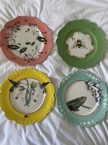 Set anthropology nature - of,