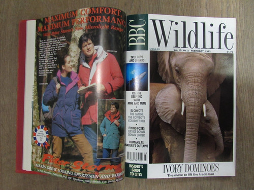 Fascinating bbc wildlife - bbc,