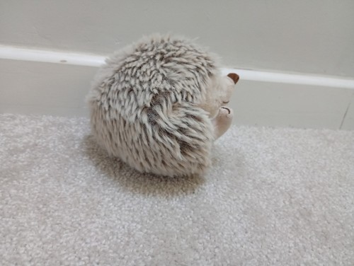 Hedgehog teddy - hedgehog,