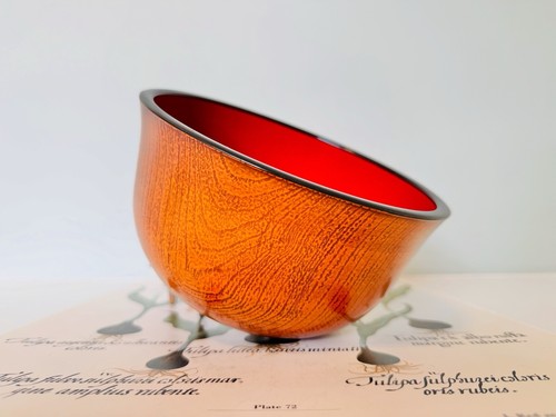 Lacquered bowl orange - lacquered, bowl.