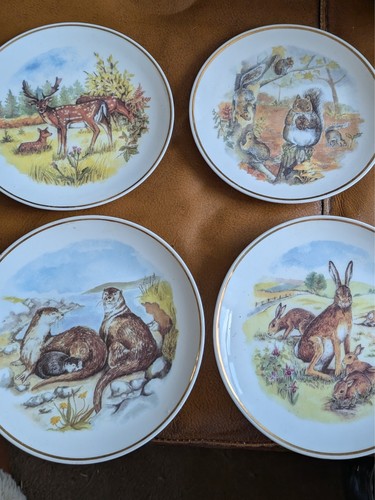 Wild life decorative small - wild,