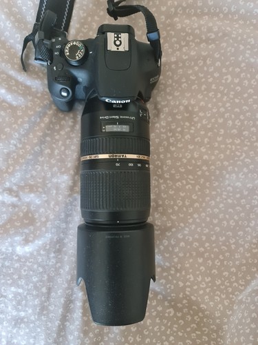 Eos1200d with tamron - eos1200d,