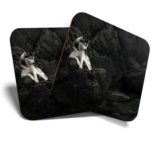 Coasters siberian husky - x,